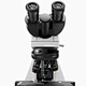 Trinocular Biological Microscope