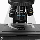 LED Fluorescence Trinocular Microscope