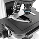 LED Fluorescence Trinocular Microscope