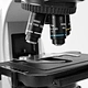 LED Fluorescence Trinocular Microscope